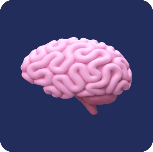 Illustration of the human brain.