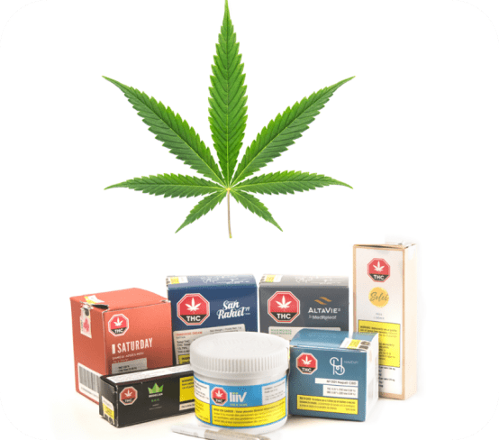 Illustration of a cannabis leaf and photo of various examples of cannabis products.