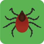 Tick image