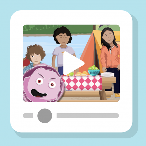 A Microorganism Adventure